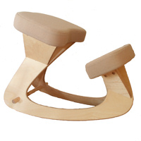 De BeeJay - Ergonomische stoel tegen (lage) rugklachten